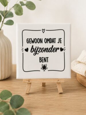 Keramisch Tegeltje met Tekst – “Gewoon Omdat Je Bijzonder Bent” – 10x10 cm – Cadeau voor Vriendin, Moeder, Collega of Vriend – Inclusief Houten Standaard