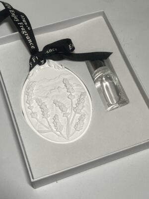 geursteen - Geursteen + parfum - Met hanger - voor in kast, auto, slaapkamer, wc etc.